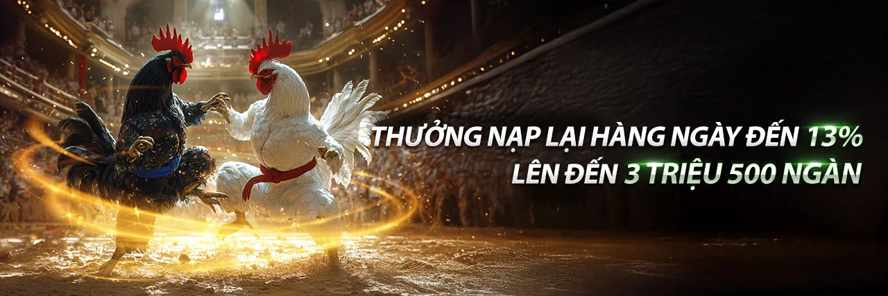 Trải nghiệm Đá Gà Trực Tuyến đỉnh cao tại okvipas. com
